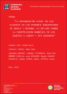 Pi Cecilia Diaz Informe final.pdf.jpg